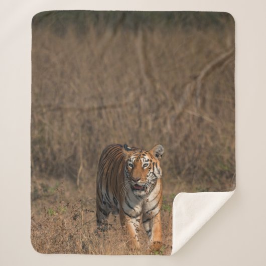 COUVERTURE SHERPA TIGER PORTRAIT (Devant)