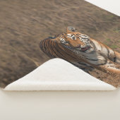 COUVERTURE SHERPA TIGER PORTRAIT (3/4)