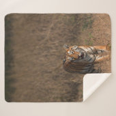 COUVERTURE SHERPA TIGER PORTRAIT (Devant (Horizontal))