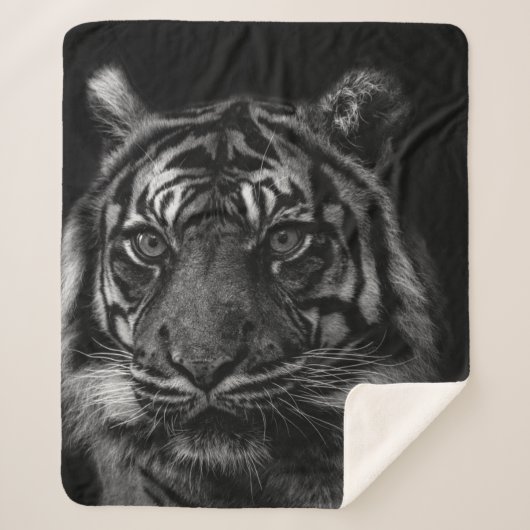 COUVERTURE SHERPA TIGER PORTRAIT IN BW (Devant)