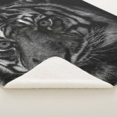 COUVERTURE SHERPA TIGER PORTRAIT IN BW (3/4)