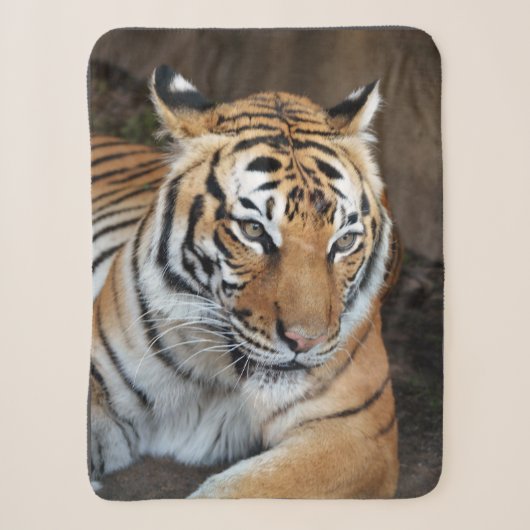 Couverture Sherpa Tigre (Devant)