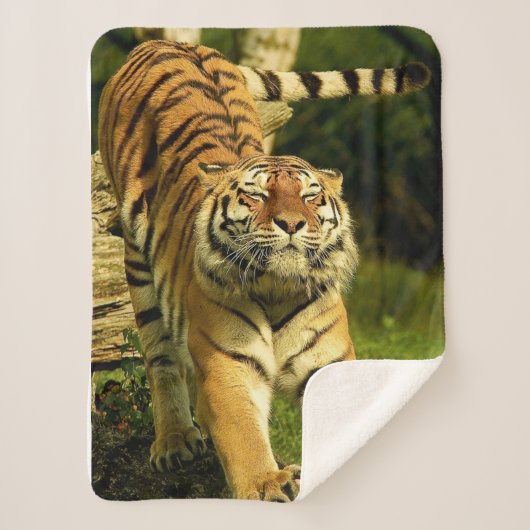 Couverture Sherpa Tigre (Devant)