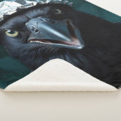 Couverture Sherpa Tin Foil Casquette noir Bird Raven (3/4)