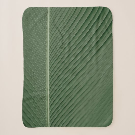 Couverture Sherpa Tissu rayé vert et blanc (Devant)