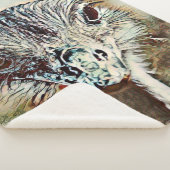 Couverture Sherpa toono (3/4)