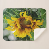 Couverture Sherpa Tournesol (Devant (Horizontal))