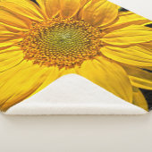 Couverture Sherpa Tournesol sba (3/4)