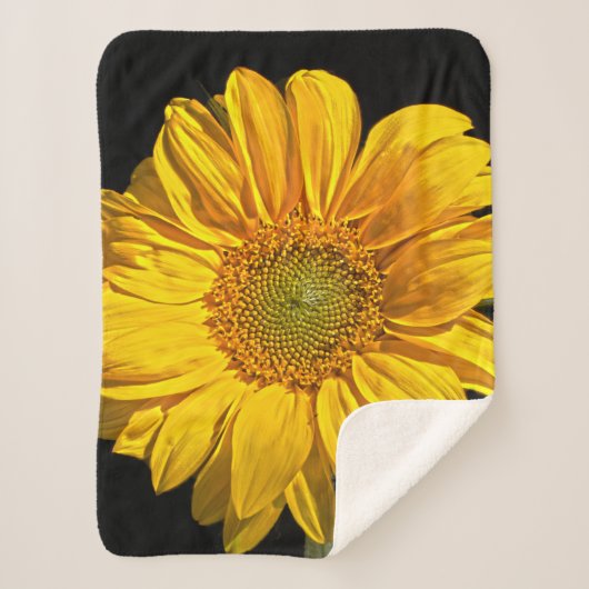 Couverture Sherpa Tournesol sba (Devant)
