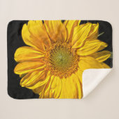 Couverture Sherpa Tournesol sba (Devant (Horizontal))