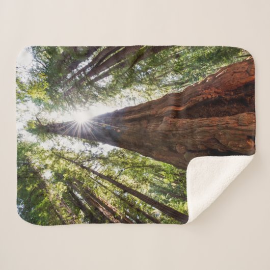 Couverture Sherpa Tours des séquoias (Devant (Horizontal))