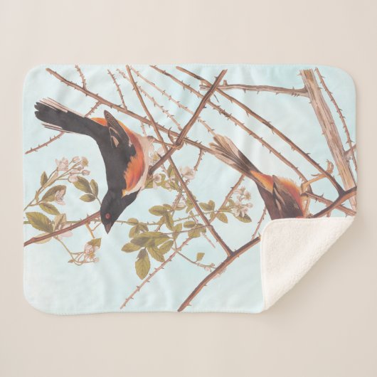 Couverture Sherpa Towee Bunting Audubon Black and Orange Song Birds (Devant (Horizontal))