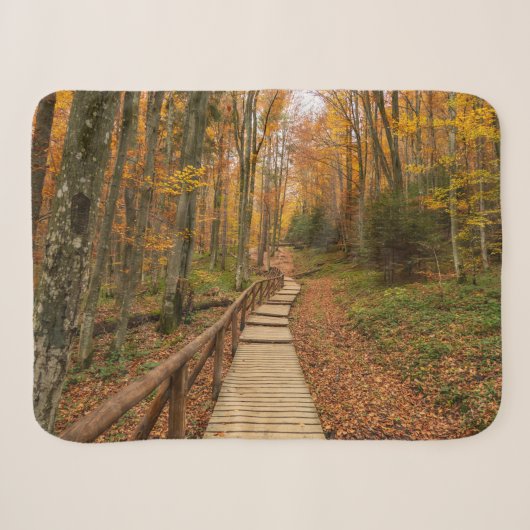 Couverture Sherpa Traverser la forêt d'automne. (Devant (Horizontal))