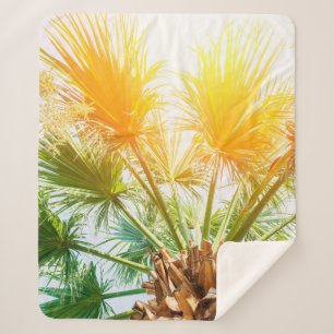 Couverture Sherpa Tree palm bright sun summer background. tropical p