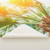 Couverture Sherpa Tree palm bright sun summer background. tropical p (3/4)