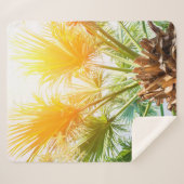 Couverture Sherpa Tree palm bright sun summer background. tropical p (Devant (Horizontal))