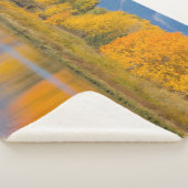 Couverture Sherpa Trembles colorés d'automne (3/4)