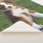 Couverture Sherpa Tri photo australienne rouge mignonne de chiot de (3/4)