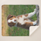 Couverture Sherpa Tri photo australienne rouge mignonne de chiot de (Devant (Horizontal))