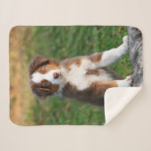 Couverture Sherpa Tri photo australienne rouge mignonne de chiot de (Devant (Horizontal))