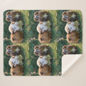 Couverture Sherpa Trois bébés cochons de Guinée, (Devant (Horizontal))