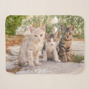 Couverture Sherpa Trois jeunes chatons chatons chatons s'assoient en