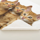 Couverture Sherpa Trois mignons Ginger Chat Kittens amis Photo de la (3/4)