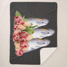 trois petites perruches blanches