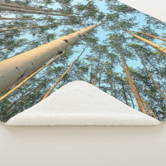 Couverture Sherpa Troncs Et Feuilles D'Aspen, Yukon (3/4)