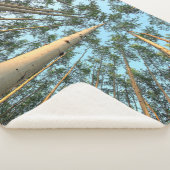Couverture Sherpa Troncs et feuilles de tremble, Yukon (3/4)