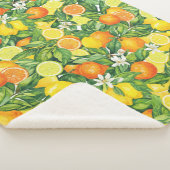 Couverture Sherpa Tropical Citrus Medley Watercolor Pattern (3/4)