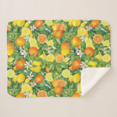 Couverture Sherpa Tropical Citrus Medley Watercolor Pattern (Devant (Horizontal))