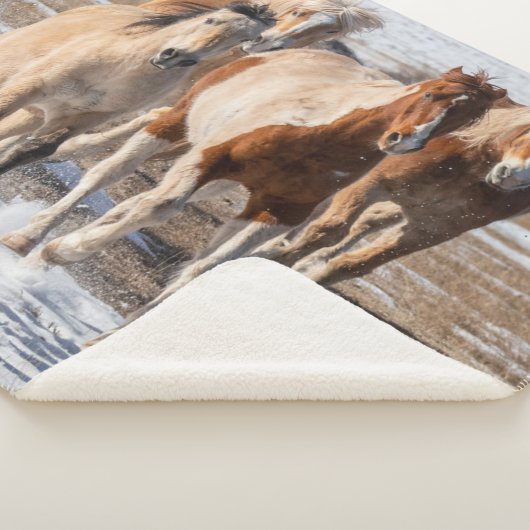 Couverture Sherpa Troupeau de Chevaux de race mixte courant dans la  (3/4)