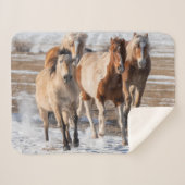 Couverture Sherpa Troupeau de Chevaux de race mixte courant dans la  (Devant (Horizontal))