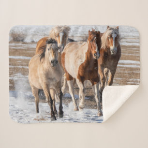 Couverture Sherpa Troupeau de chevaux de races mixtes courant dans l
