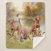 Couverture Sherpa Un aristocrate polyvalent dans la Vizsla hongroise (Devant)