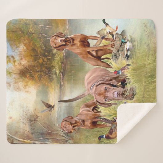 Couverture Sherpa Un aristocrate polyvalent dans la Vizsla hongroise (Devant (Horizontal))