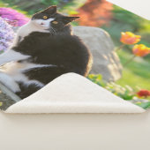 Couverture Sherpa Un joli chat noir blanc dans un jardin fleuri colo (3/4)