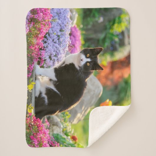 Couverture Sherpa Un joli chat noir blanc dans un jardin fleuri colo (Devant)