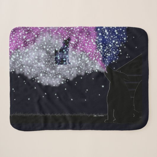 Couverture Sherpa Une nuit d'été avec Sirius (Devant (Horizontal))