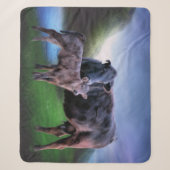 Couverture Sherpa Vache et veau Black Angus (Devant)