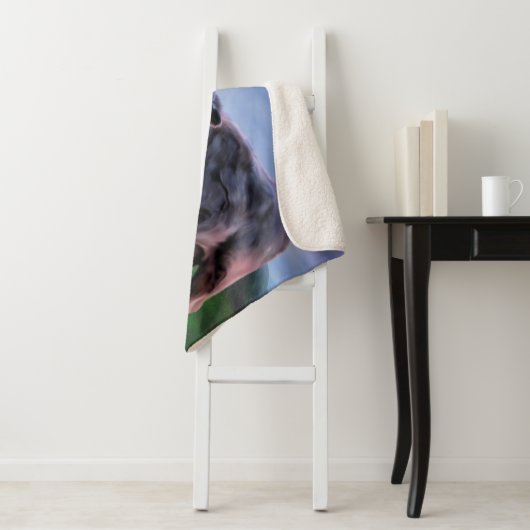 Couverture Sherpa Vache et veau de l'Angus noir (En situation)