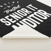 Couverture Sherpa Vérificateur principal des TI Titre du poste Cadea (3/4)