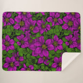 Couverture Sherpa Vigne Clematis rose (Devant (Horizontal))