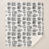 Couverture Sherpa Vintage Alice's Adventures in Wonderland Motif (Devant)