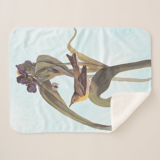 Couverture Sherpa Vireo Songbird d'Audubon (Devant (Horizontal))