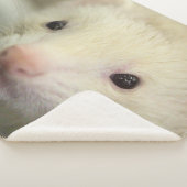 Couverture Sherpa Visage de furet (3/4)