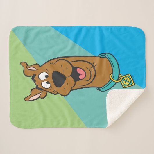 Couverture Sherpa Visage souriant Scooby-Doo (Devant (Horizontal))