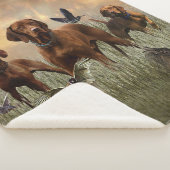 Couverture Sherpa Vizsla Art hongrois (3/4)