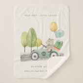 Couverture Sherpa Voiture cadeau de ballon vert en tourbe Cute Aqua (Devant)